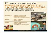  · Henry L Lina Cordova 2010 . Minería Artesanal ... NO 210-2004/StJNAT - Art. 6t0 - uso Obligatorio del número de RUC para trámites en la administración pública.