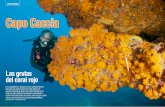 otros mares Capo Cacciabbb.capogalera.com/public/docs/in_123_006.015_otros_mares.pdfotros mares Capo Caccia Las grutas del coral rojo En la Enigmática y salvajE isla dE cErdEña ExistEn