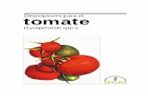 Descriptores para el tomate ( Lycopersicon spp.) · Las normas aceptadas internacionalmente para la toma de datos, codificación y registro de los estados de los descriptores son