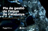 Pla de gestió de l’aigua de Catalunya - aca- Iniciaca-web.gencat.cat/aca/documents/ca/planificacio/pla_gestio... · vern de la Generalitat, substituirà el vigent Pla hidrològic