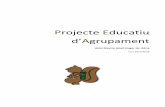 Projecte Educatiu d’Agrupament - cautarrega.cat · 3 1. INTRODUCCIÓ DEL PEA El que esteu començant a llegir ara mateix es defineix com a “PEA”, (Projecte Educatiu d’Agrupament).