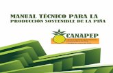 MANUAL TÉCNICO PARA LA · Title: Manual Técnico para la producción sostenible de piña Author: Cámara Nacional de Productores y Exportadores de Piña \(CANAPEP\). Created Date