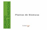 Plantas de Biomasa - biobestenergy.com · GRUPO NOVA ENERG Í A Especializados en altas potencias… hasta 20 MW t Tecnología para la conversión energética de biomasa procedente