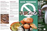 PRINCIPIO RECTOR ESTÁ PROHIBIDO LAcanales.larioja.com/documentos/FolletoSETAS.pdf · La recolección de setas y trufas en La Rioja estará ... uso restringido del Parque Natural