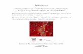 Tesis doctoral Bases genéticas de la artritis reumatoide ...digibug.ugr.es/bitstream/10481/1724/1/17243695.pdf · Tesis doctoral Bases genéticas de la artritis reumatoide: búsqueda