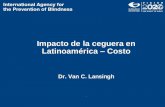 Impacto de la ceguera en Latinoamérica Costo /FtPage/2013/Costo-Ceguera_espaol... · Japan 1.2 7.56 0.112 0.0902 0.450 0.612 1.764 Brazil ... (USD per year) GNI per capita 2011 (PPP)