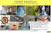 Presentación de PowerPoint - Ficheros del Portal de Infomedfiles.sld.cu/vigilancia/files/.../03/Fiebre-Amarilla-Epidemiologia.pdf · FIEBRE AMARILLA -Dr. Salome Castillo García