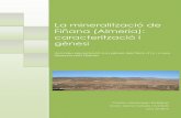 La mineralització de Fiñana (Almeria): caracterització i ... · registrada una etapa de metasomatisme que dóna lloc a l’aparició de marbres (coneguts localment com a cipolinos)