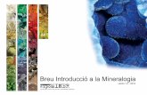 Cristal·litzat - massiu - media.firabcn.esmedia.firabcn.es/content/S002012/docs/guia__mineralogia_15_10_12.pdf · Metasomatisme de contacte Metamorﬁ sme de contacte Processos hidrotermals