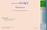 Proyecto MaTEX · MATEMATICAS 2º Bachillerato A s = B + m v r = A + l u B d CIENCIAS MaTEX rices JJ II J I JDoc DocI Volver Cerrar ... (1821-1895) sento las bases del calculo matricial.