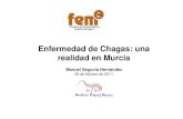 Enfermedad de Chagas: una realidad en Murcia · • Hospital Comarcal de Caravaca – 1 caso 2003 ... ECG: RS a 50lpm, eje -60º, ... 2011-02-28-chagas-SEGOVIA (FILEminimizer).ppt