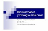 Bioinformática y Biología molecular - webdiis.unizar.eswebdiis.unizar.es/asignaturas/APD/.../2013/09/1415Bioinformatica_2.pdf · Bioinformática y Biología molecular Algoritmia