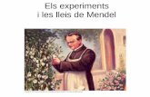 Els experiments i les lleis de Mendel - COSMOLINUXcosmolinux.no-ip.org/.../Experiments_i_lleis_de_mendel.pdfGeneración F2 Generación P (progenitores de líneas puras) Flores púrpuras