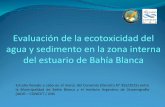 Evaluación de la ecotoxicidad del agua y sedimento en la ...bahiablanca.gob.ar/subidos/medio-ambiente/2015-2016/Presentacion... · Evaluación de la ecotoxicidad del agua y sedimento