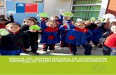 MANUAL DEL SISTEMA NACIONAL DE CERTIFICACIÓN …convivenciaescolar.mineduc.cl/wp-content/uploads/2018/12/Manual... · media o diferencial; mientras que la tercera corresponde a escuelas