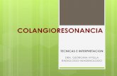 COLANGIORESONANCIA - SDR – SOCIEDAD DOMINICANA … · papilitis dilatacion del cbc con imagen en “pico de flauta” en la region ampular . colangitis . estrechez por fibrosis