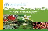 Manual de Familias y Géneros de Árboles del Paraguay · Índice presentaciÓn 9 introducciÓn 10 pteridophyta cyatheaceae 12 alsophila12 gimnospermae araucariaceae 14 araucaria14