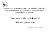 Teórico 4 - Microbiología II Micosis profundas 4... · Es un micosis profunda granulomatosa y supurativa del hombre y los mamíferos típica de las zonas áridas del continente