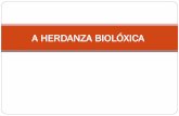 A HERDANZA BIOLÓXICA - edu.xunta.gal herdanza biolóxica comp.pdf · homólogos dominan por igual. De xeito que o individuo manifesta os dous alelos á vez, pero sen mesturarse.