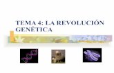 TEMA 5: LA REVOLUCIÓN GENÉTICAasturquimica.com/sites/default/files/archivos/CC/ppt_Genetica.pdf · 1. La genética ¿Qué es? Una rama de la biología que estudia todo lo relacionado