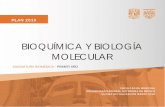BIOQUÍMICA Y BIOLOGÍA MOLECULARbq.facmed.unam.mx/wp-content/uploads/2018/11/PROGRAMA-RESUMIDO-2018.pdf · PLAN 2010 . BIOQUÍMICA Y BIOLOGÍA MOLECULAR . ... ética, social y ambiental,