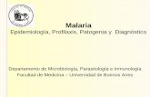 Presentación de PowerPoint³rico 23 - Micro II.pdf · Aspectos epidemiológicos Especies humanas: Plasmodium vivax, P. falciparuim, P. ovale y P. malariae. Distribución geográfica