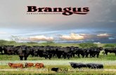 Organo informativo de la Asociación Brangus …asociacionbrangusmexicana.org/revistas/Brangus-dic-05.pdf6 Mensaje del Presidente A todos nuestros socios y amigos ganaderos, les envió