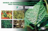 MANEJO DE ENFERMEDADES DE PLANTAS CAUSADAS PORciat-library.ciat.cgiar.org/Articulos_Ciat/ipm/pdfs/manejo_enfermedades_plantas.pdf · Centro Internacional de Agricultura Tropical International