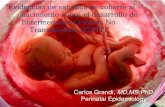 Evidencias de estudios de cohorte al Saúde ... - sap.org.ar y Consenso/5_Grandi.pdf · foetal stage to menopause. Reproduction. 2015 ; 150(1):R11-24. Ribeiro MR, de Britto e Alves