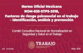 Norma Oficial Mexicana NOM-035-STPS-2018, Factores de ...prevencionar.com.mx/media/sites/3/2019/06/NOM-035-STPS-2018-PRESENTAC... · es Demanda – carga de trabajo Control sobre