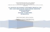 CLASIFICACIONES GEOMECÁNICA DE DE LOS MACIZOS …webdelprofesor.ula.ve/ingenieria/nbelandria/materias/geotecnia/guia_geotecnia.pdf · 1. Trozos de rocas testigos mayores de 10 cm