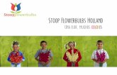 Stoop Flowerbulbs Holland · zonas templadas, son ideales para el cultivo exitoso de gladiolos • Nuestra constante investigación y desarrollo ofrece, además de excelente calidad,