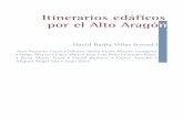 Itinerarios edáficos por el Alto Aragón - secs.com.es³n-SECS.-Huesca-2009.pdf · analítico de cualquier tema, pero se interesan también, y mucho, por las ideas y los métodos