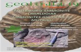Presentación de  · PDF filepaleontología irakaslea eta ikerlaria. ... -Ammonite-familia berekoak: eboluzioa, ... •Zergatik ezin da fosil bat mendian hartu?