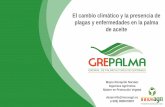Presentación de PowerPoint - grepalma.org · también podría alterar el mecanismo de control ... Efectos del cambio climático en el desarrollo de enfermedades de la palma aceitera