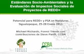 Potencial para REDD+ y PSA en Honduras Siguatepeque, 25-28 ... · •Los Estándares Sociales y Ambientales para REDD+ ... Plantaciones presentan mayor riesgo que REDD Impacto sobre