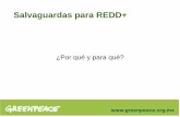Salvaguardas para REDD+ · Integrar y mantener un sistema de salvaguardas sociales y ambientales, ... de REDD, y de otros programas forestales ... pero no proponen estándares para