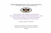 ESTUDIO DE MARCADORES DE DIFERENCIACIÓN …hera.ugr.es/tesisugr/18276635.pdf · utilización de piel y mucosa de zonas ajenas a la cavidad bucal para la reparación de defectos de