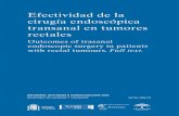 CIRUGÍA ENDOSCÓPICA TRANSANAL EN TUMORES … · Andalucía, en el año 2001 la tasa ajustada de mortalidad para cáncer de recto en mujeres fue de 3,46 por 100.000 y para hombres