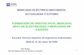 1-Formación Precios Mercado Spot Electricidad y Mercado ... · PDF fileMERCADO ELÉCTRICO MAYORISTA. ACTUALIDAD Y FUTURO FORMACIÓN DE PRECIOS EN EL MERCADO SPOT DE ELECTRICIDAD Y