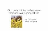 2015 Bio diesel en Mendoza experiencias y perspectivasfing.uncu.edu.ar/catedras/tecnologia_industrial/archivos... · 2015-04-19 · promoción del cultivo de canola • Año 2007