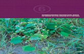 00 La Vid Silvestre - euskadi.eus · cambios en los taxones de la biocenosis, dan-do lugar a la aparición de una vegetación bien diferenciada, adaptada a las condiciones espe-ciales