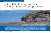 HABLEMOS DE CONSERVACIÓN (1) El Proyecto Loro …gf1702/DOWNLOAD/Masello_et_al_2009_a_HdL.pdf · onte es una sabana semidesértica ca-racterizada por una estepa espesa y bosques