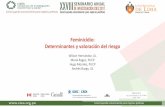 Feminicidio: Determinantes y valoración del riesgoseminarioanual.cies.org.pe/2017/wp-content/uploads/2017/12/Feminicidio-Wilson... · 2009; Viviano, 2010). • Enfoque legal (Dador,