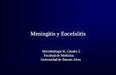 Meningitis y Encefalitis - old.fmed.uba.arold.fmed.uba.ar/depto/microbiologia/catedra2/17_meningitis_y_encefalitis.pdf · Meningitis Bacteriana Es el proceso inflamatorio que compromete