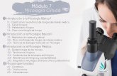 Módulo 2 Hematología (Serie Blanca) Mielopogesis ...edulabc.com.mx/wp-content/uploads/2019/04/modulo-7.pdf · 7 Micología Clínica Introducción a la Micología Básica 1 1.1.-