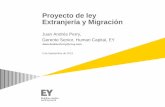 Proyecto de ley Extranjería y Migración · Permiso para radicarse indefinidamente en Chile, que autoriza a desarrollar cualquier actividad lícita, sin otras limitaciones que las