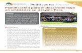 Políticas en Síntesis 41 - asb.cgiar.org 2014/Policy Briefs/ASB_PB41_es.pdf · en curso sobre planificación del desarrollo (Dewi et al., 2011). LUWES: Descripción de los principales