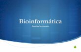 Bioinformática - vis.usal.esvis.usal.es/rodrigo/documentos/bioinfo/temas/0_Presentación.pdf · Y desarrollar las destrezas para consultarla e interrelacionarla Conocer las aplicaciones