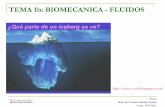 TEMA 1b: BIOMECANICA - FLUIDOS - ocw.uv.esocw.uv.es/ciencias/fisica/clase5.pdf · TEMA 1b: BIOMECANICA - FLUIDOS 1.5 Presión hidrostática Principio de Arquímedes: Esfera imaginaria